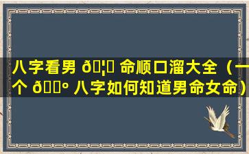 八字看男 🦄 命顺口溜大全（一个 🐺 八字如何知道男命女命）